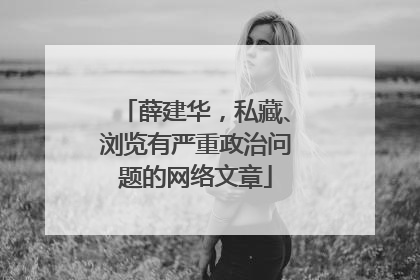 薛建华，私藏、浏览有严重政治问题的网络文章