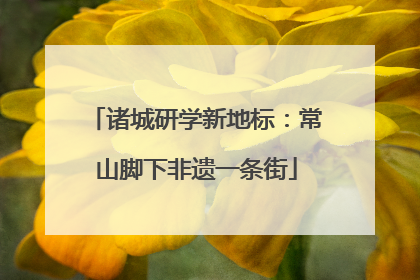 诸城研学新地标：常山脚下非遗一条街