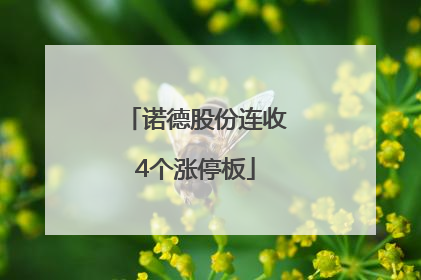诺德股份连收4个涨停板