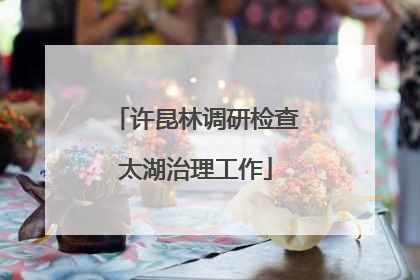 许昆林调研检查太湖治理工作