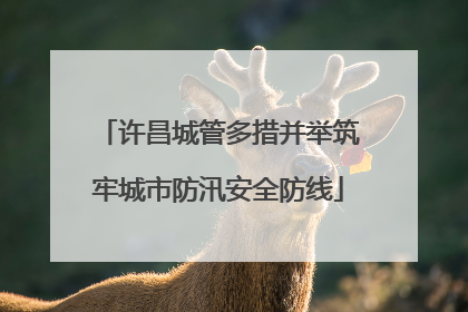 许昌城管多措并举筑牢城市防汛安全防线