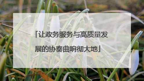 让政务服务与高质量发展的协奏曲响彻大地