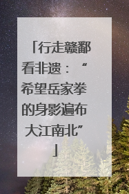 行走赣鄱看非遗：“希望岳家拳的身影遍布大江南北”