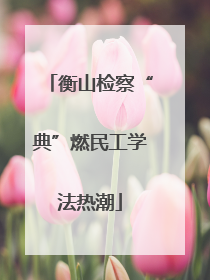衡山检察“典”燃民工学法热潮