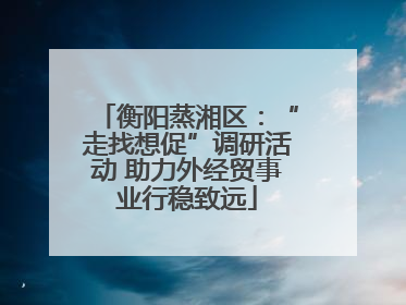 衡阳蒸湘区：“走找想促”调研活动 助力外经贸事业行稳致远