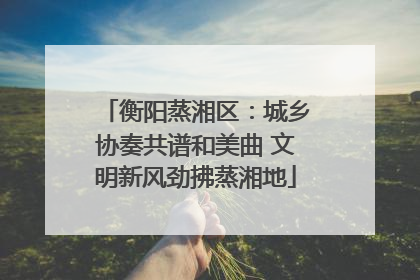 衡阳蒸湘区：城乡协奏共谱和美曲 文明新风劲拂蒸湘地