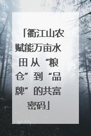 衢江山农赋能万亩水田 从“粮仓”到“品牌”的共富密码