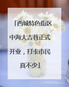 西城特色街区中海大吉巷正式开业，打卡市民真不少