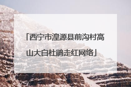 西宁市湟源县前沟村高山大白杜鹃走红网络