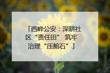 西峰公安：深耕社区“责任田” 筑牢治理“压舱石”