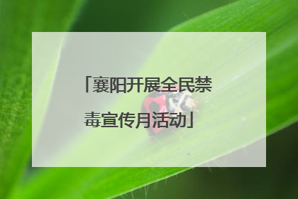 襄阳开展全民禁毒宣传月活动