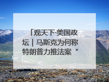 观天下·美国政坛｜马斯克为何称特朗普力推法案“令人作呕”