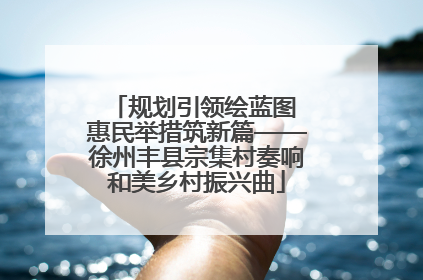 规划引领绘蓝图 惠民举措筑新篇——徐州丰县宗集村奏响和美乡村振兴曲