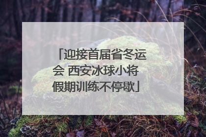 迎接首届省冬运会 西安冰球小将假期训练不停歇
