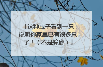 这种虫子看到一只，说明你家里已有很多只了！（不是蟑螂）