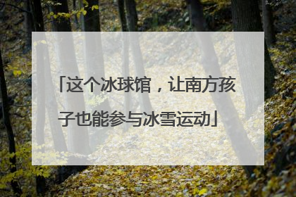 这个冰球馆，让南方孩子也能参与冰雪运动