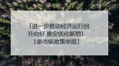 进一步推动经济运行回升向好 雅安优化新增11条市级政策举措
