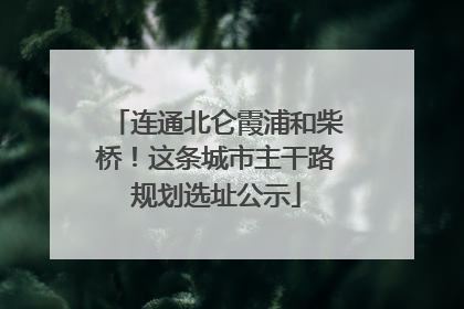 连通北仑霞浦和柴桥！这条城市主干路规划选址公示