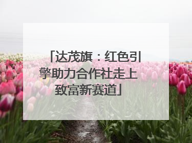 达茂旗：红色引擎助力合作社走上致富新赛道