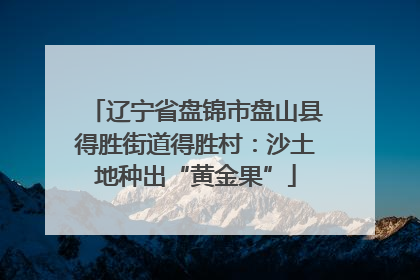 辽宁省盘锦市盘山县得胜街道得胜村：沙土地种出“黄金果”