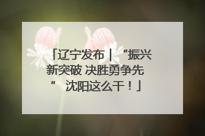 辽宁发布｜“振兴新突破 决胜勇争先” 沈阳这么干！