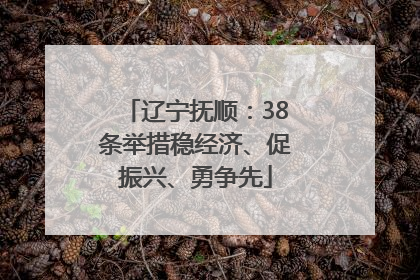 辽宁抚顺：38条举措稳经济、促振兴、勇争先