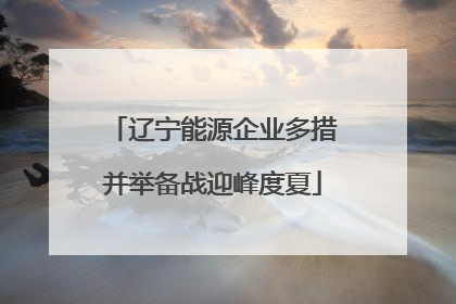 辽宁能源企业多措并举备战迎峰度夏