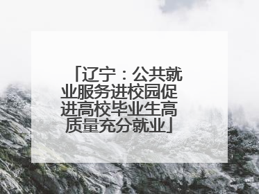 辽宁：公共就业服务进校园促进高校毕业生高质量充分就业