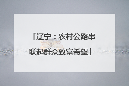 辽宁：农村公路串联起群众致富希望