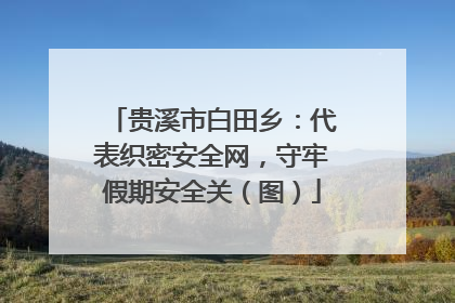 贵溪市白田乡：代表织密安全网，守牢假期安全关（图）