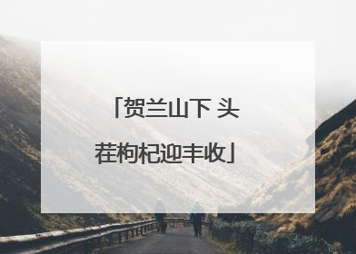 贺兰山下 头茬枸杞迎丰收