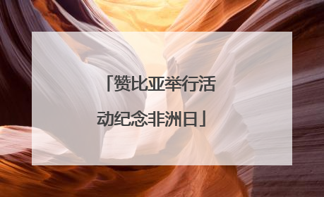 赞比亚举行活动纪念非洲日