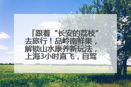跟着“长安的荔枝”去旅行！品岭南鲜果，解锁山水康养新玩法，上海3小时直飞，自驾高速费优惠
