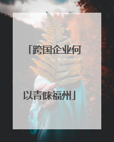 跨国企业何以青睐福州