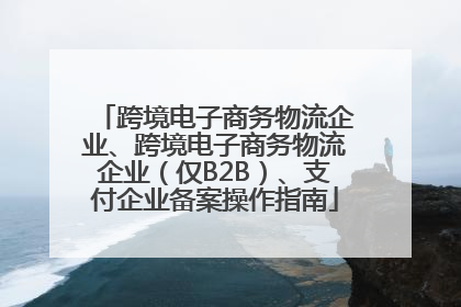 跨境电子商务物流企业、跨境电子商务物流企业（仅B2B）、支付企业备案操作指南