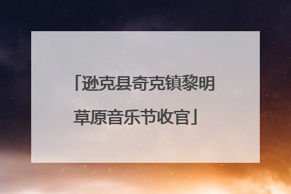 逊克县奇克镇黎明草原音乐节收官
