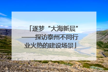 逐梦“大海新晨”——探访泰州不同行业火热的建设场景