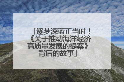 逐梦深蓝正当时！《关于推动海洋经济高质量发展的提案》背后的故事