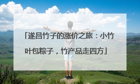 遂昌竹子的涨价之旅：小竹叶包粽子，竹产品走四方