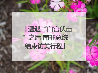 遭遇“白宫伏击”之后 南非总统结束访美行程