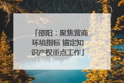 邵阳：聚焦营商环境指标 锚定知识产权重点工作