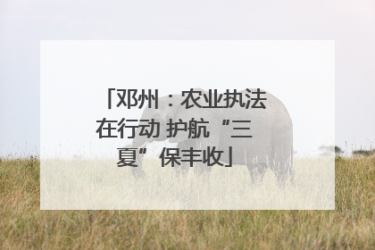 邓州：农业执法在行动 护航“三夏”保丰收