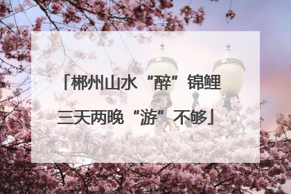 郴州山水“醉”锦鲤 三天两晚“游”不够