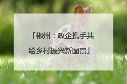 郴州：政企携手共绘乡村振兴新图景