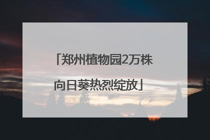 郑州植物园2万株向日葵热烈绽放