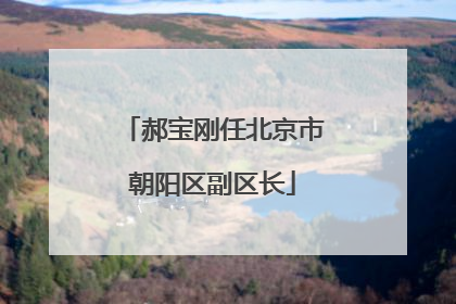 郝宝刚任北京市朝阳区副区长
