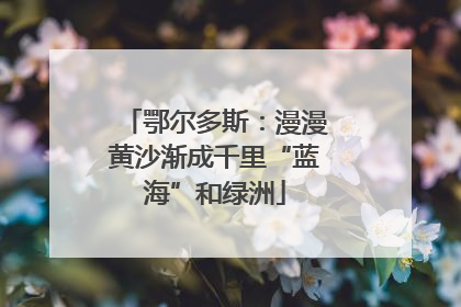 鄂尔多斯：漫漫黄沙渐成千里“蓝海”和绿洲