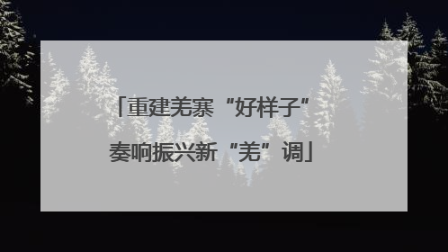 重建羌寨“好样子” 奏响振兴新“羌”调
