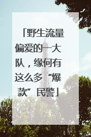 野生流量偏爱的一大队，缘何有这么多“爆款”民警