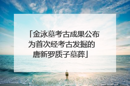 金泳墓考古成果公布 为首次经考古发掘的唐新罗质子墓葬